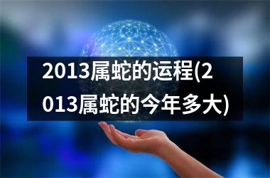 2013属蛇的运程(2013属蛇的今年多大)