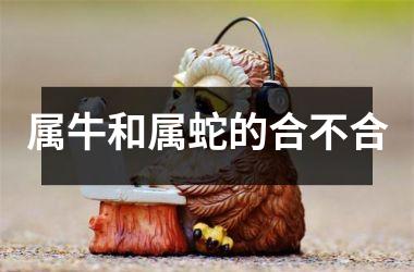 <h3>属牛和属蛇的合不合