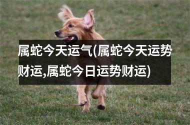 属蛇今天运气(属蛇今天运势财运,属蛇今日运势财运)