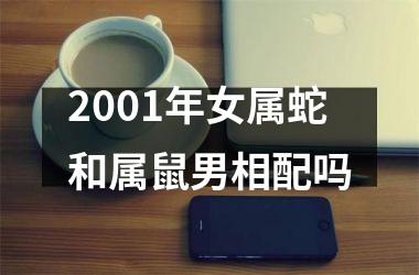 2001年女属蛇和属鼠男相配吗