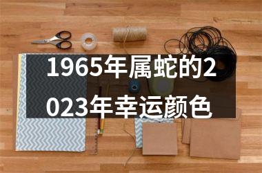 1965年属蛇的2025年幸运颜色