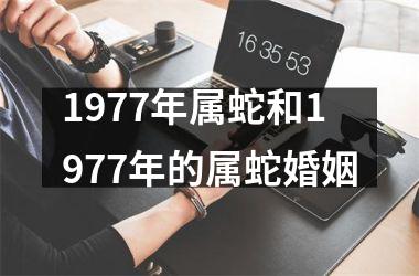 <h3>1977年属蛇和1977年的属蛇婚姻