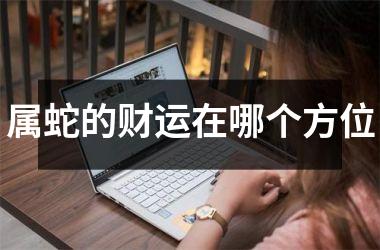 <h3>属蛇的财运在哪个方位