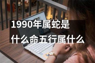 1990年属蛇是什么命五行属什么