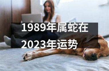 1989年属蛇在2025年运势