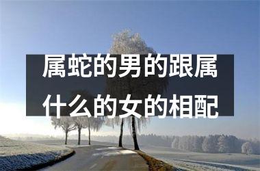 属蛇的男的跟属什么的女的相配