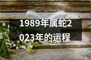 1989年属蛇2025年的运程