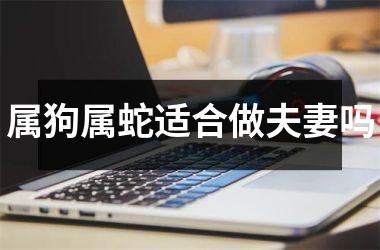 <h3>属狗属蛇适合做夫妻吗