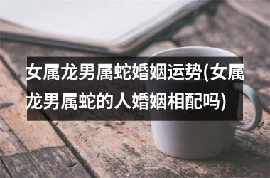 女属龙男属蛇婚姻运势(女属龙男属蛇的人婚姻相配吗)