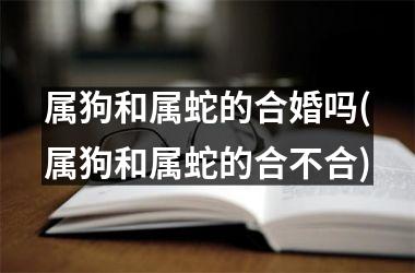 属狗和属蛇的合婚吗(属狗和属蛇的合不合)