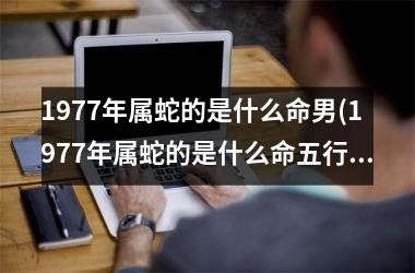 1977年属蛇的是什么命男(1977年属蛇的是什么命五行缺什么)