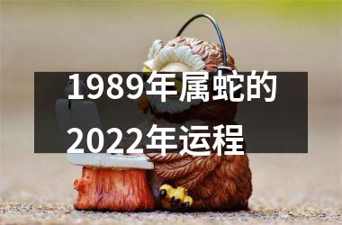 1989年属蛇的2025年运程