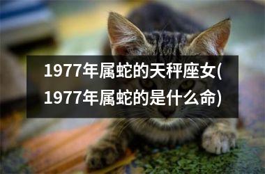 1977年属蛇的天秤座女(1977年属蛇的是什么命)