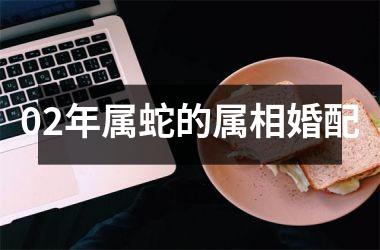<h3>02年属蛇的属相婚配