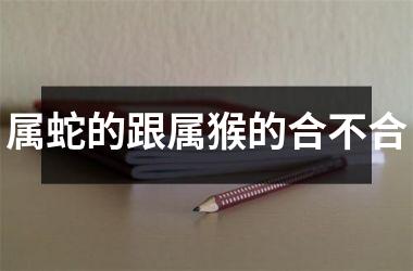 <h3>属蛇的跟属猴的合不合