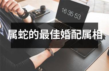 <h3>属蛇的佳婚配属相