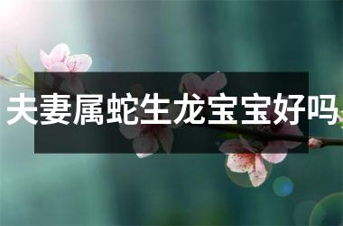 夫妻属蛇生龙宝宝好吗