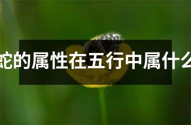 蛇的属性在五行中属什么