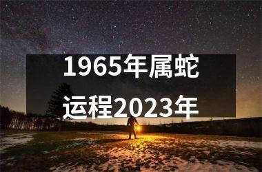 1965年属蛇运程2025年