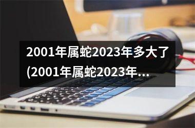 <h3>2001年属蛇2025年多大了(2001年属蛇2025年运势及运程每月运程)