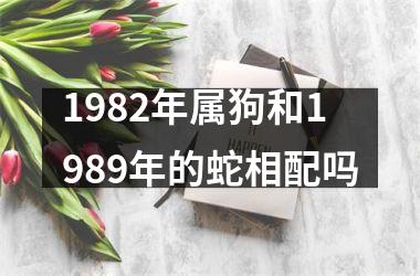 <h3>1982年属狗和1989年的蛇相配吗