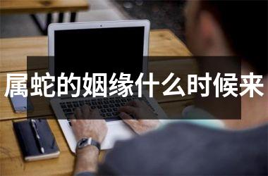 属蛇的姻缘什么时候来