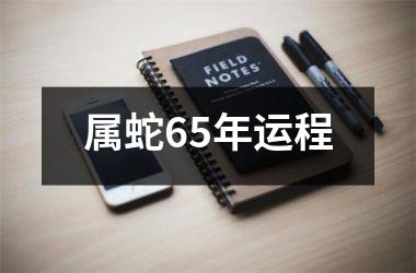 属蛇65年运程