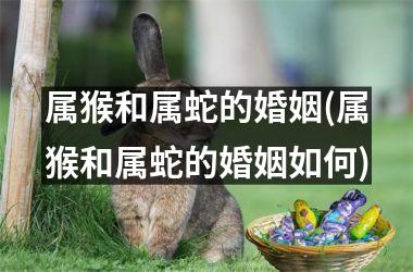 属猴和属蛇的婚姻(属猴和属蛇的婚姻如何)