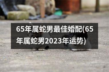 65年属蛇男佳婚配(65年属蛇男2025年运势)