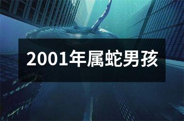 2001年属蛇男孩