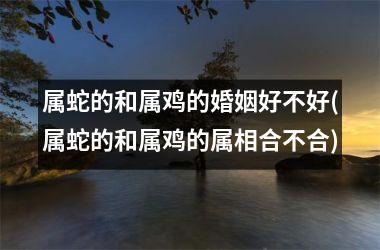 属蛇的和属鸡的婚姻好不好(属蛇的和属鸡的属相合不合)