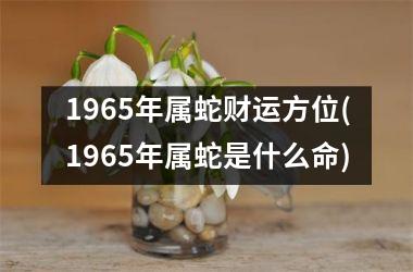 1965年属蛇财运方位(1965年属蛇是什么命)