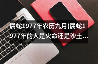 <h3>属蛇1977年农历九月(属蛇1977年的人是火命还是沙土命)