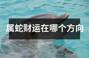 属蛇财运在哪个方向