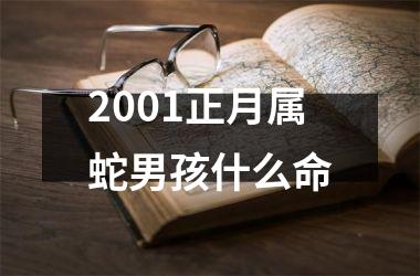 2001正月属蛇男孩什么命