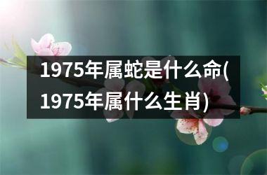<h3>1975年属蛇是什么命(1975年属什么生肖)