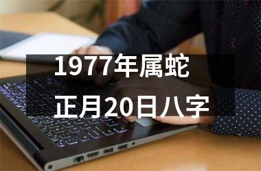 1977年属蛇正月20日八字