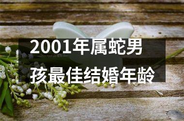 2001年属蛇男孩佳结婚年龄