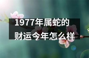 1977年属蛇的财运今年怎么样