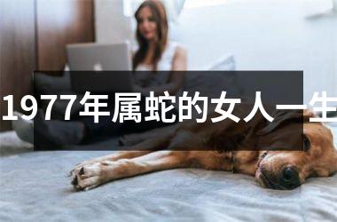 1977年属蛇的女人一生