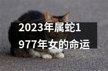 2025年属蛇1977年女的命运