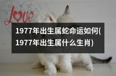 1977年出生属蛇命运如何(1977年出生属什么生肖)