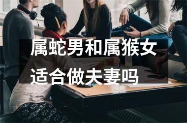 <h3>属蛇男和属猴女适合做夫妻吗