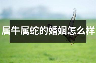 属牛属蛇的婚姻怎么样