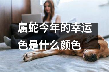 属蛇今年的幸运色是什么颜色