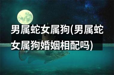 <h3>男属蛇女属狗(男属蛇女属狗婚姻相配吗)
