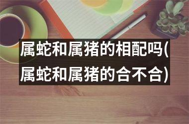 <h3>属蛇和属猪的相配吗(属蛇和属猪的合不合)