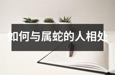 如何与属蛇的人相处