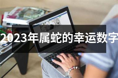 2025年属蛇的幸运数字