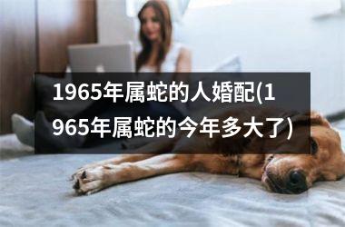 1965年属蛇的人婚配(1965年属蛇的今年多大了)